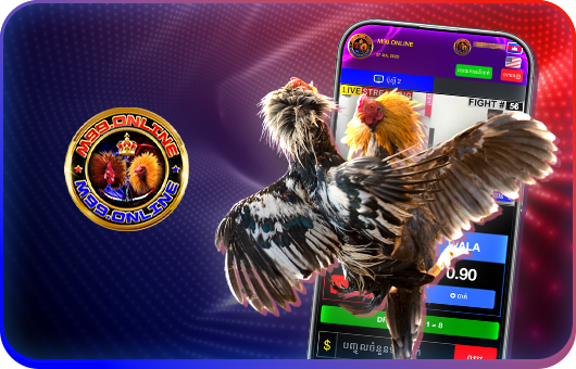 Ng78 cock fighitng
